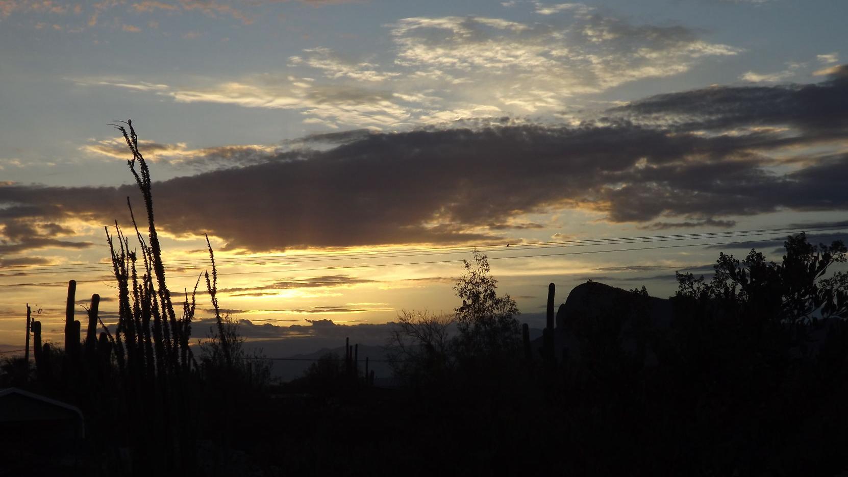 Tucson shutterbugs share their shots